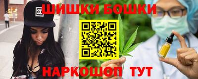 крисы Нальчик