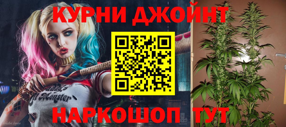 Конопля гибрид Севастополь